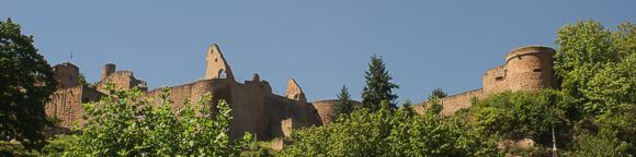 Burgruine Hardenburg bei Bad D&uuml;rkheim