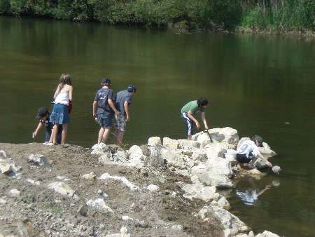 Gew�sserp�dagogik vor Ort an der Donau