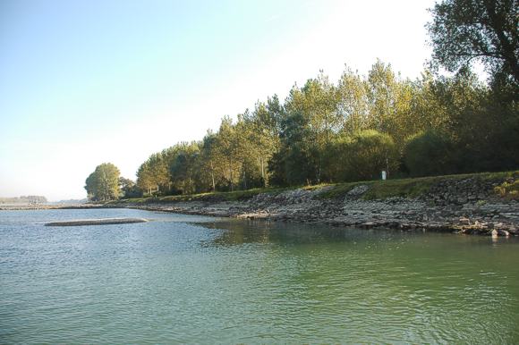 Flachufer bei Rhein-km 343 am 4.10.2011. &copy; RP Karlsruhe 