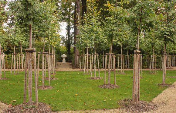 Schlossgarten Schwetzingen: Blick aus dem Quincunx in eines der wieder hergestellten Vasenrondells