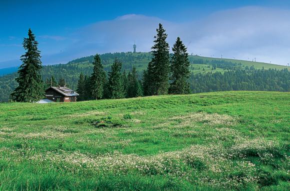 Feldberg mit Feldberg-Turm. &copy; TI Feldberg 