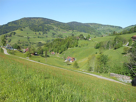 Offene Schwarzwaldlandschaft bei Weiden. Die Grünlandpflege erhält den Landschaftscharakter und damit die Attrktivität des Schwarzwalds für seine Gäste. Foto: Jean-Marie Henry/Naturpark Südschwarzwald