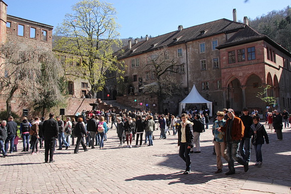 Freier Eintritt zum Fr&uuml;hlingserwachen in Schloss Heidelberg