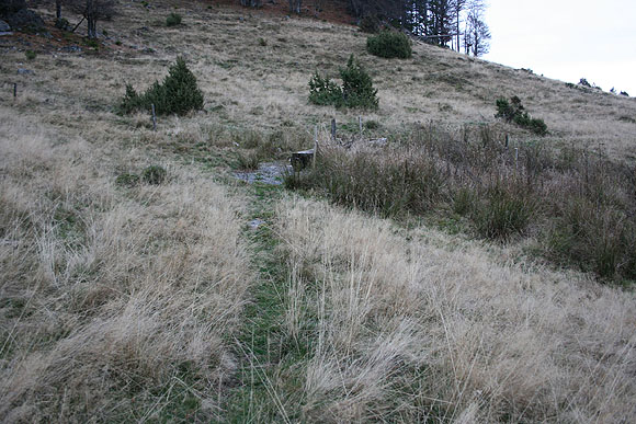 Ver&auml;nderungen des Landschaftsbild im Schwarzwald durch zunehmende Trockenheit