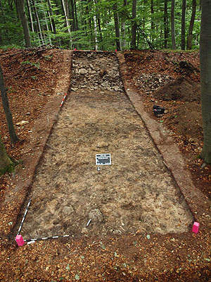 Dokumentationsbild unseres Grabungsschnittes 1 auf dem Mittelberg, im Hintergrund die bereits angegrabene Mauer.