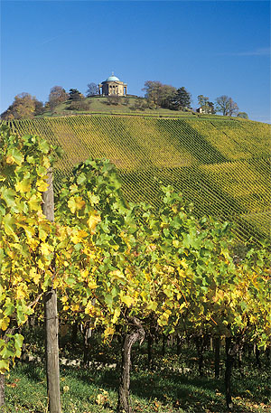 Grabkapelle auf dem Württemberg inmitten der umgebenden Reben. Foto: Armin Weischer/SSG