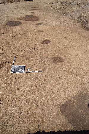 Im hellen Boden zeichnen sich Pfostengruben eines Holzgebäudes und Gruben ab 