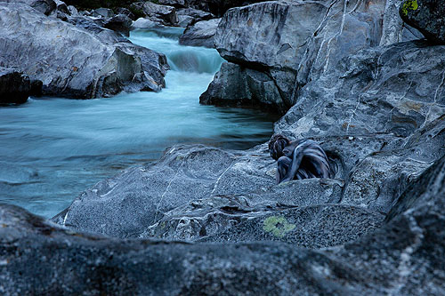 Lines in lines (© L. Pregizer/U. Schmida/J. Düsterwald/L. Gené)