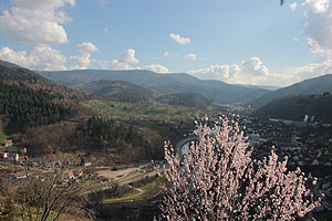 Murgtal bei Gernsbach