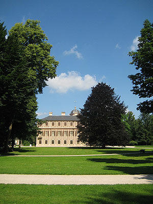 Blutbuche im Schlossgarten Favorite. Foto: SSG