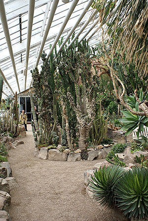Sukkulentenhaus im Botanischen Garten. Foto: kulturer.be