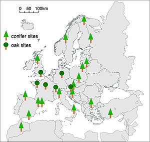 Standorte der Bäume für die Isotopen-Analyse, verteilt über ganz Europa (Abbildung: G. Helle / GFZ)