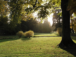 Herbstimpressionen aus dem Schlosspark Favorite. Fotos: kulturer.be