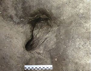 Potenzieller Homininen-Fußabdruck, der in Schöningen 13 II-2 Untere Berme gefunden wurde. Foto: J. Serangeli / Senckenberg