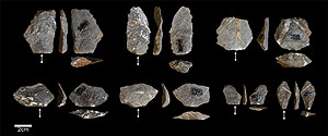 Scharfkantige Steinsplitter, die von Javaneraffen unbeabsichtigt hergestellt wurden. Foto © Proffitt et al, 2023