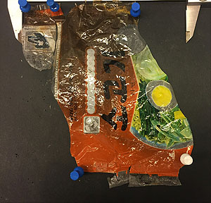 Plastikmüll – wie diese Verpackung einer japanischen Nudelsuppe – befand sich an jeder der 13 untersuchten Tiefsee-Stationen.Foto: Serena Abel