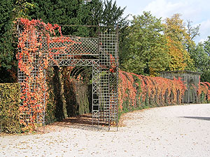 Schlossgarten Schwetzingen im Herbst: Treillagegang im Schmuck des Wilden Weins, Fotos: kulturer.be
