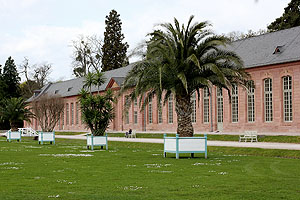 Orangerie mit Palmen. Foto: kulturer.be