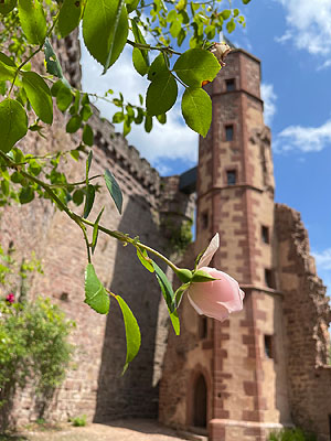Dilsberg, Treppenturm