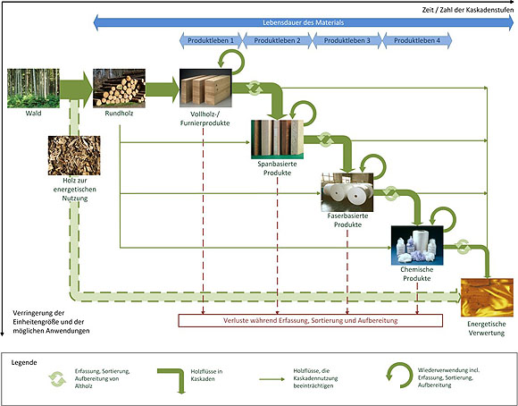Die Illustration zeigt das Konzept einer Kaskadennutzung von Holz mit ihren einzelnen Stufen.
